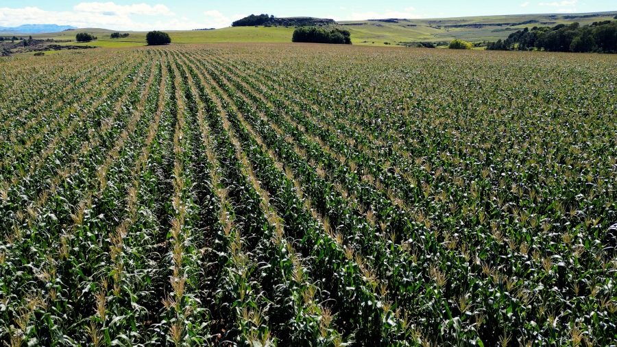 0 Bedroom Property for Sale in Maclear Rural Eastern Cape